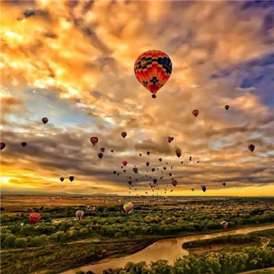 一肖三码app下载截图